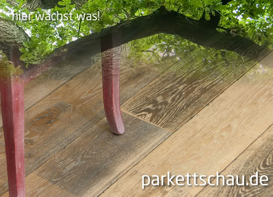 Dennebos - Parkett, Mehrschichtparkett, Fertigparkett, Holzboden, Landhausdielen, Parkettaustellung im Internet, Online-Parkettstudio, Parkett kaufen;